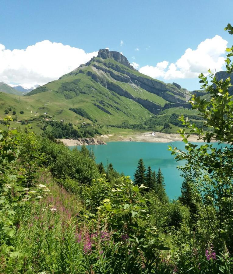 Chalet De Roselend 博福特 外观 照片