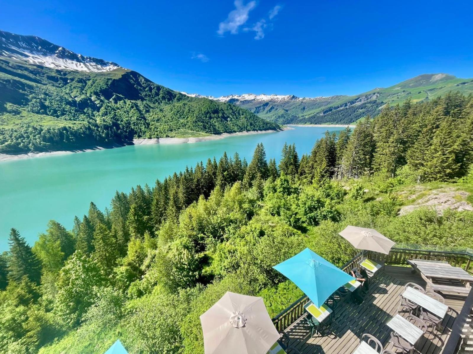 Chalet De Roselend 博福特 外观 照片